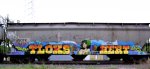 SCFX 84367